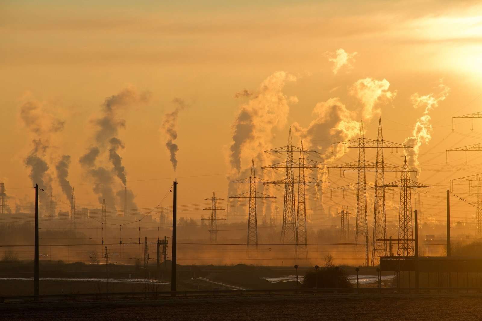 How much does the fossil fuel industry fund medical research?